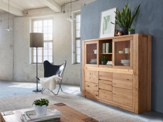 Príborník II Kote divoký dub