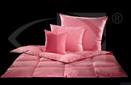 Prikrývka Polpuch husacie perie 160x200 cm 2500g